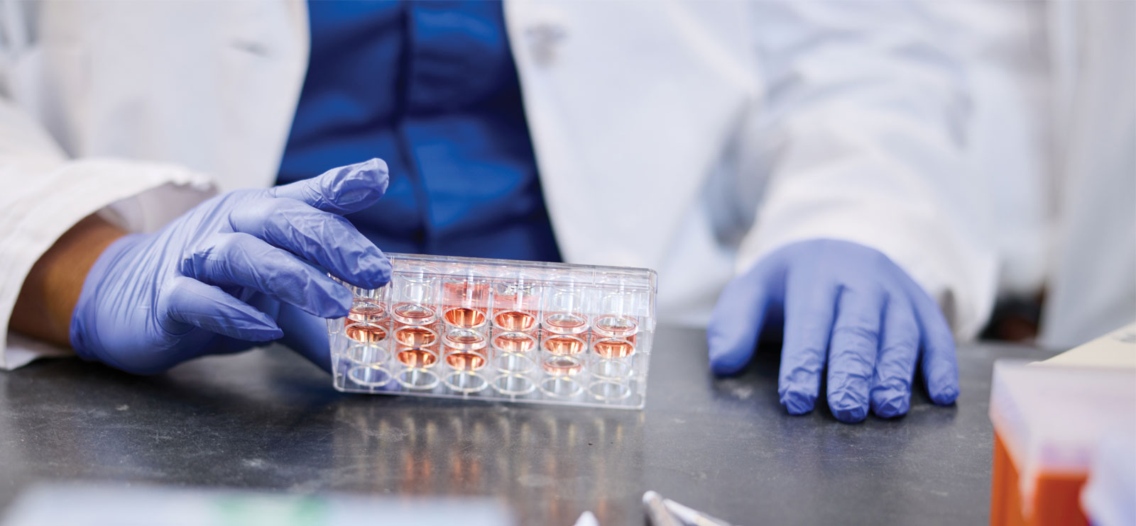 Empower Your
Research Journey