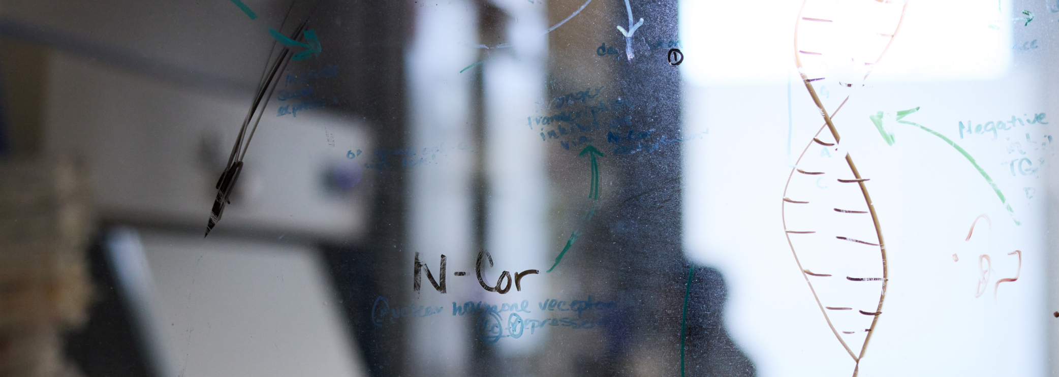 Empowering innovation
in biomedical science